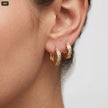 Cand Bvlgar Lt 13M Zircones - fondo verde