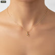 Dije Delfin Punto Zircon - con modelo